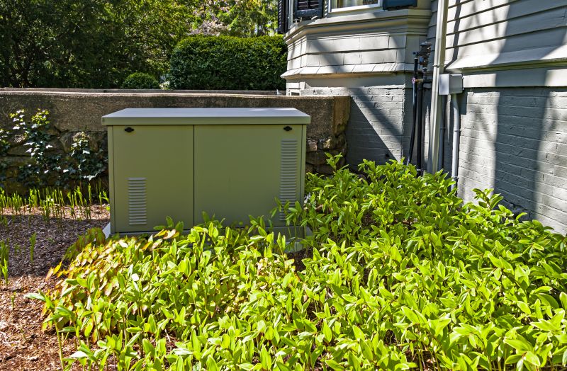 Transfer Switch Installation in Denver County, CO